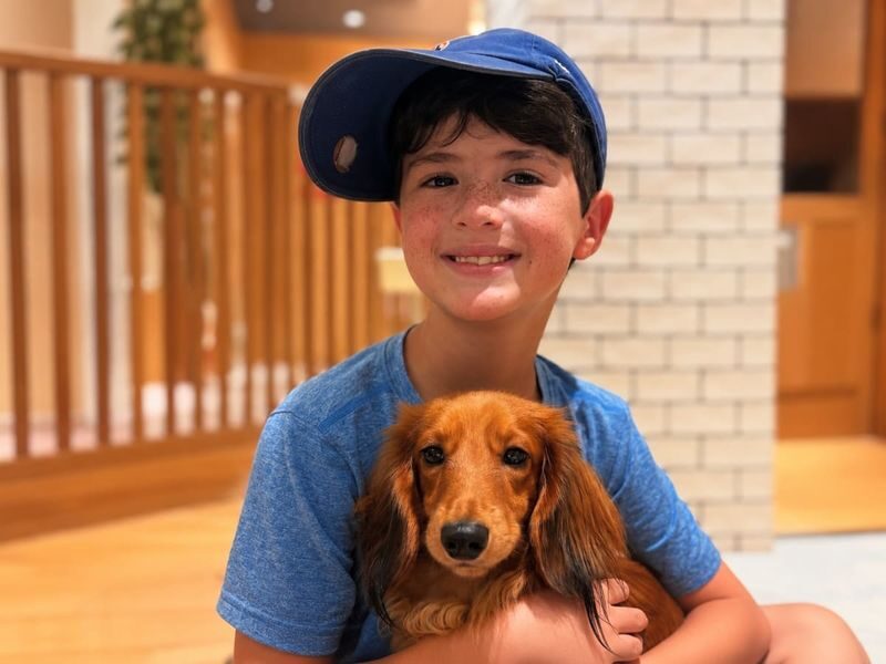 Play with Dogs at Dog Cafe Rio Shinjuku [Dog Cafe Rio Shinjuku] - A dog break in the middle of Shinjuku