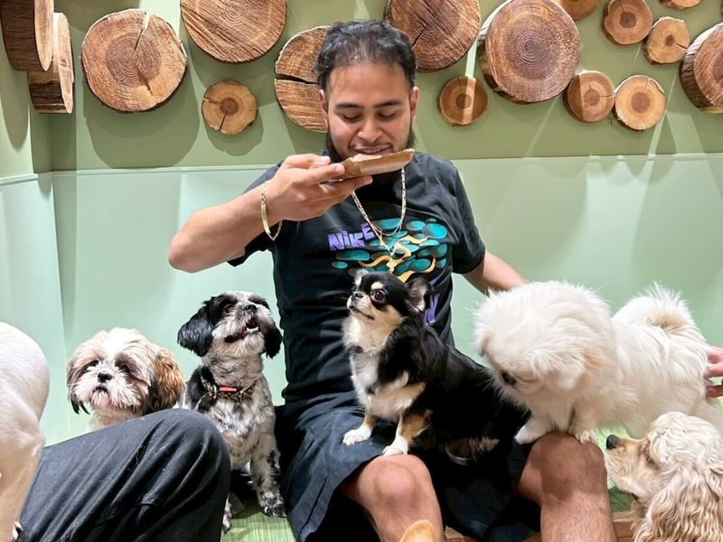 Play with Dogs at Dog Cafe Rio Shinjuku [Dog Cafe Rio Shinjuku] - Choosing a time and length