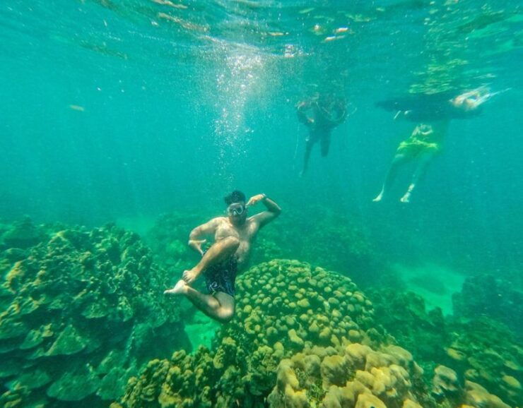 Playa Blanca: Daytour With Snorkeling and Racoon Sighting - Good To Know