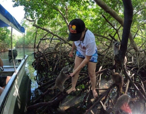 Playa Blanca: Daytour With Snorkeling and Racoon Sighting - The Sum Up