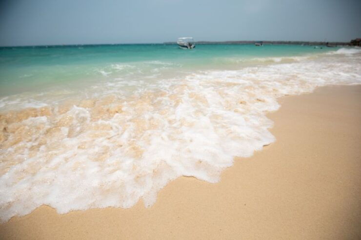 Playa Blanca Full-Day Trip From Cartagena - Booking Information