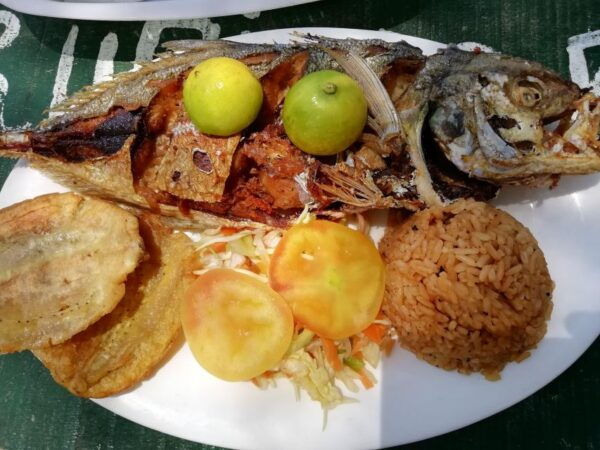 Playa Cristal Day Tour - Visitor Recommendations and Tips