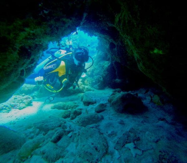 Playa Del Carmen: 2-Tank Reef Dive - Duration and Price