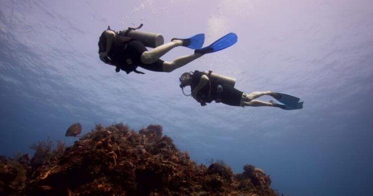 Playa Del Carmen: Advanced Open Water Diver Course - Course Overview