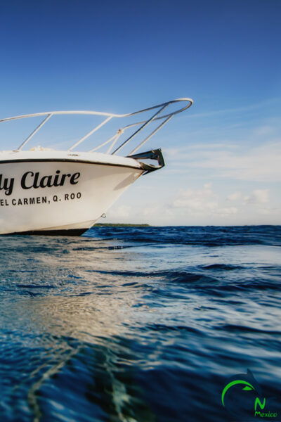 Playa Del Carmen: Beginner Scuba Diving Experience - Customer Reviews and Ratings