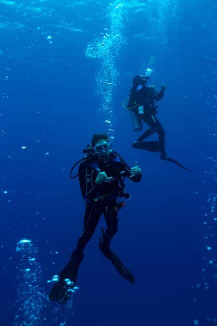 Playa del Carmen: Bull Shark Diving Experience - Who is this tour best for?