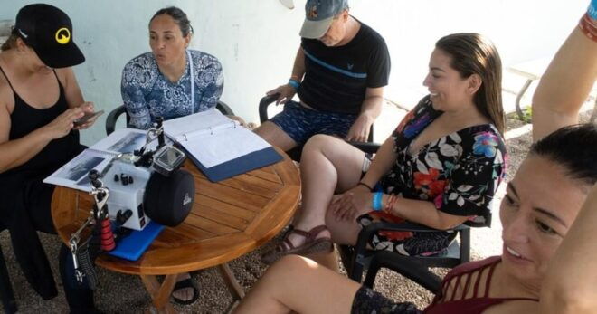 Playa Del Carmen: Bull Shark Encounter - Pre-Dive Preparation