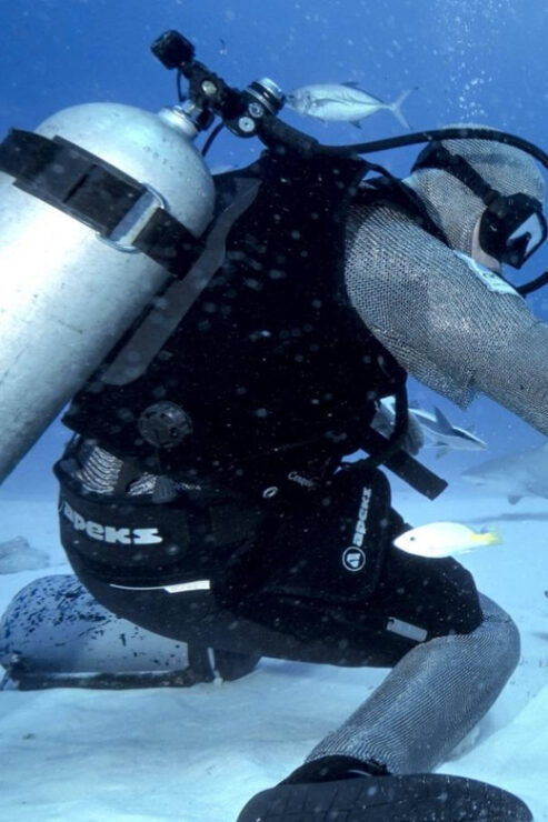 Playa Del Carmen: Bull Shark Feeding Experience - Dive Experience