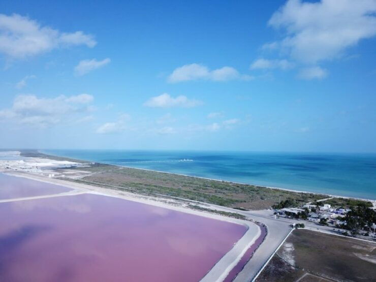Playa Del Carmen/Cancún: Rio Lagartos & Las Coloradas Tour - Booking Details