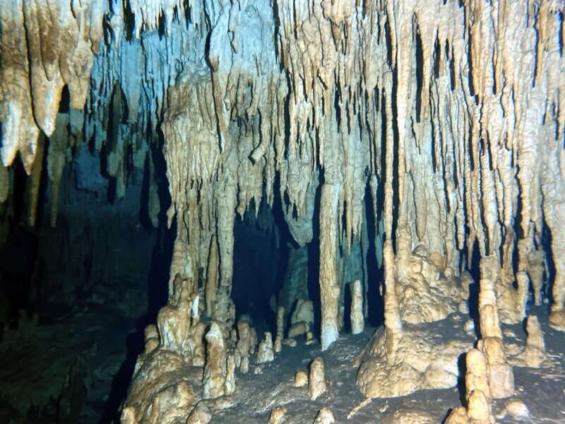 Playa del Carmen: Cenote Diving Experience - Why This Cenote Diving Experience Stands Out