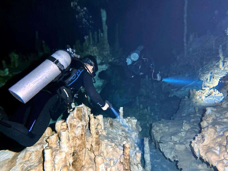 Playa del Carmen: Cenote Diving Experience - Value for Money