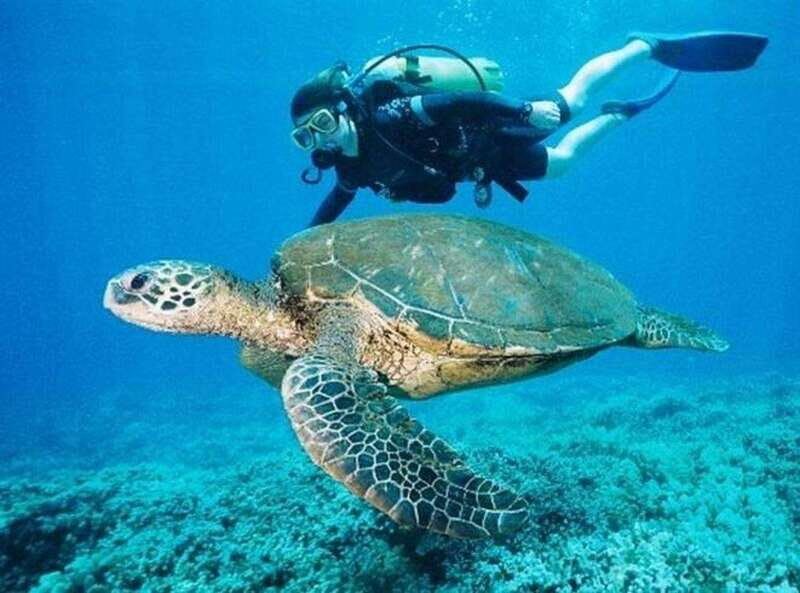 Playa del Carmen: Cenote Diving for Certified Divers - Good To Know