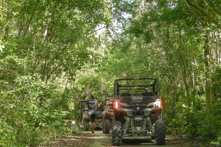 Playa Del Carmen: Cenote & Mayan Village Tour by Buggy - Experience Highlights