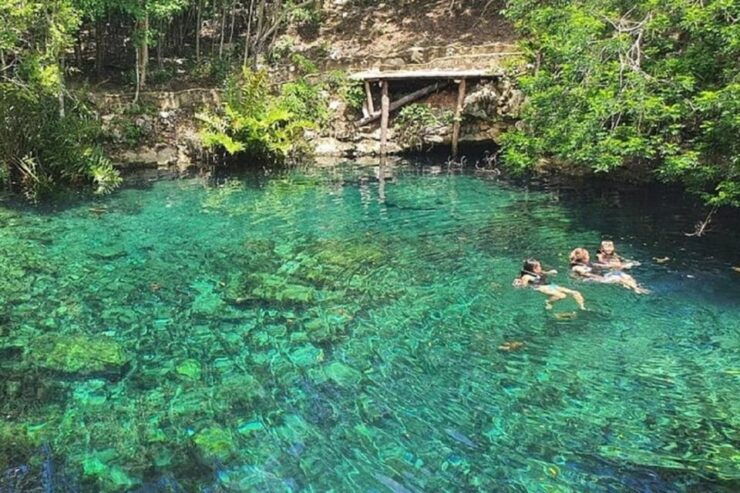 Playa Del Carmen: Cenotes Casa Tortugas Tour With Snorkeling - Experience Highlights