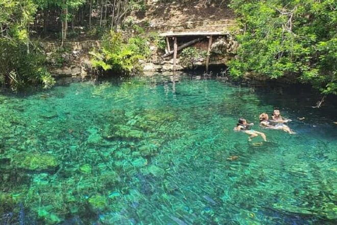 Playa Del Carmen: Cenotes Casa Tortugas Tour With Snorkeling - Tour Inclusions