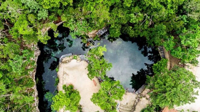 Playa Del Carmen: Cenotes Casa Tortugas Tour With Snorkeling - Customer Feedback