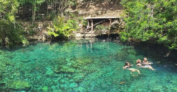 Playa Del Carmen: Cenotes Casa Tortugas Tour With Snorkeling - Visiting the Cenotes