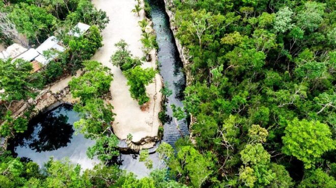 Playa Del Carmen: Cenotes Casa Tortugas Tour With Snorkeling - Visiting the Cenotes