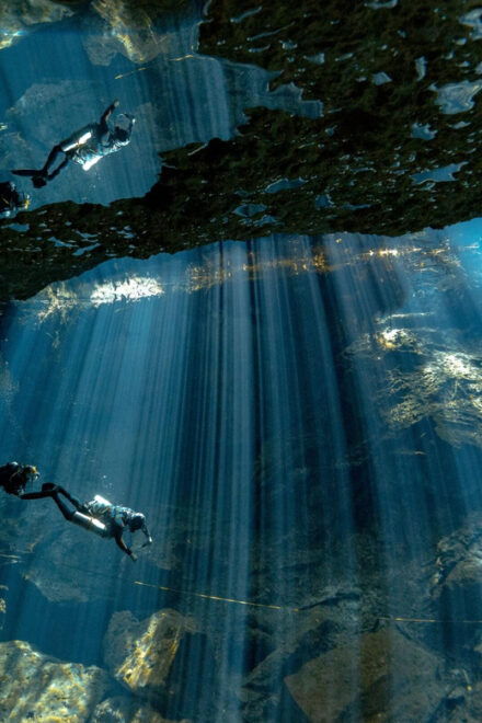 Playa Del Carmen: Certified Cenote Diving Experience - Booking Details