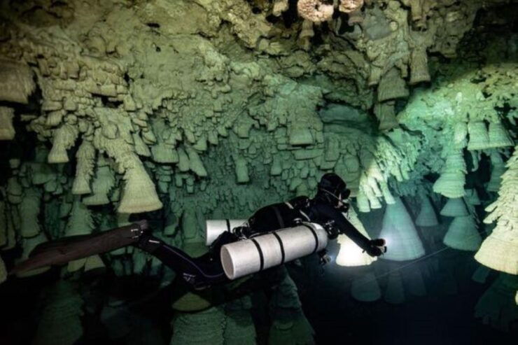 Playa Del Carmen: Chac Mool Cenote Dive - Witness the Dance of Sunlight