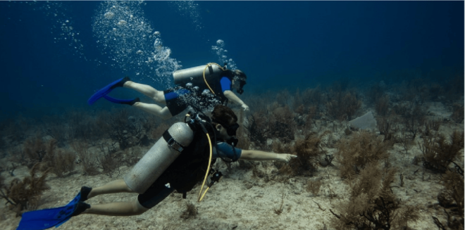 Playa Del Carmen: Discover Scuba Diving - Learning Experience