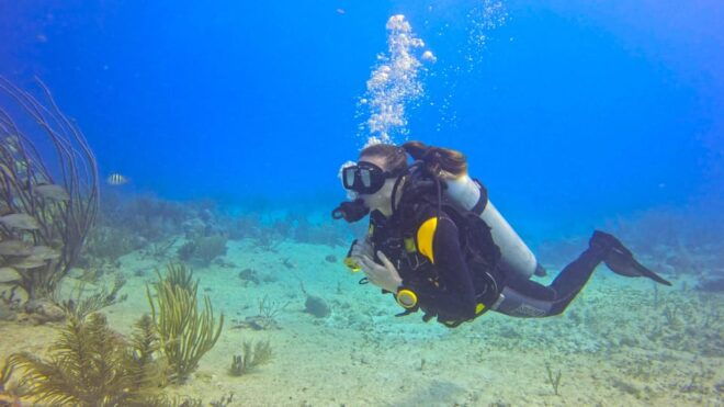 Playa Del Carmen: Discover Scuba Diving - Included Equipment and Transport