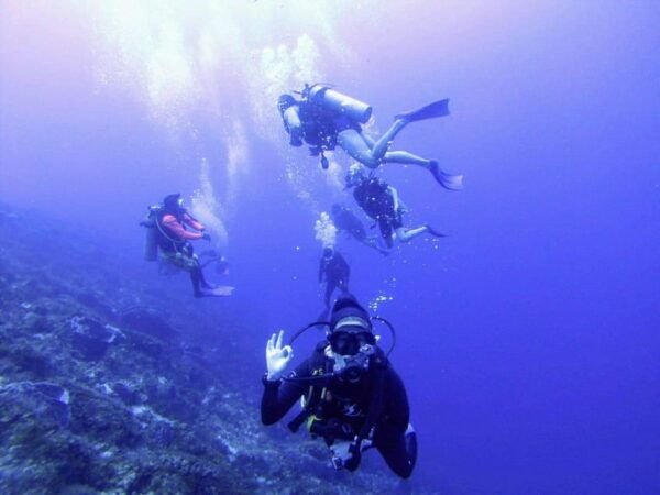 Playa Del Carmen: Discover Scuba Diving in Riviera Maya - Riviera Maya Highlights