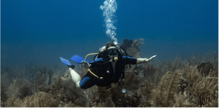 Playa Del Carmen: Discover Scuba Diving - Good To Know