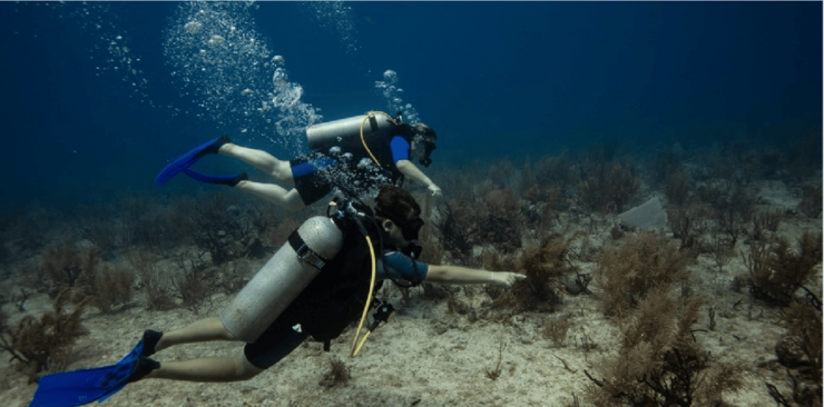 Playa Del Carmen: Discover Scuba Diving - Booking and Cancellation