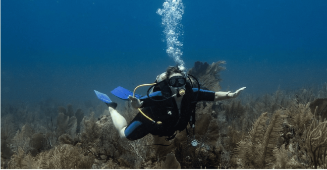 Playa Del Carmen: Discover Scuba Diving - Open Water Dives