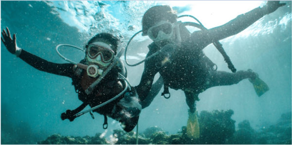 Playa Del Carmen: Discover Scuba Diving - Marine Life