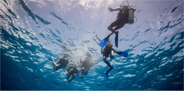 Playa Del Carmen: Discover Scuba Diving - Frequently Asked Questions