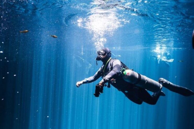 Playa Del Carmen: Discover the Depths of Dos Ojos Cenote - Booking Information for Dos Ojos Cenote