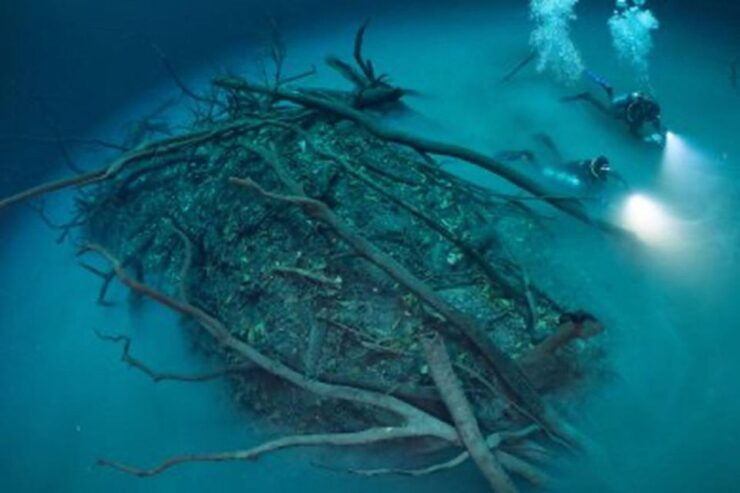 Playa Del Carmen: Discover the Depths of Dos Ojos Cenote - Activity Experience at Dos Ojos Cenote