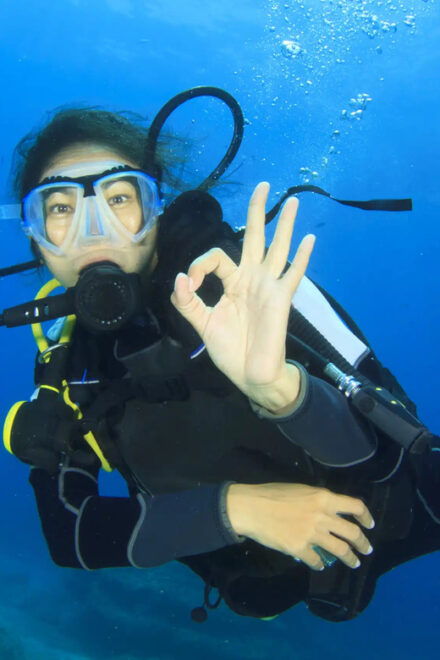 Playa Del Carmen: Discovery Scuba Diving Experience - Diving Experience