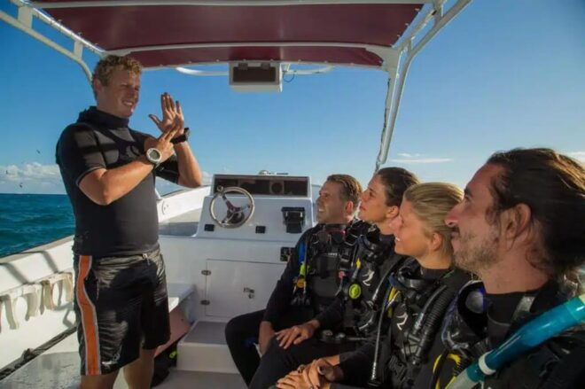 Playa Del Carmen: Discovery Scuba Diving Experience - Whats Included