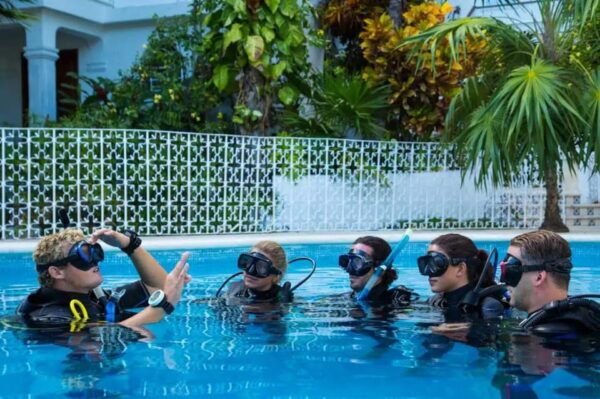 Playa Del Carmen: Discovery Scuba Diving Experience - Getting to the Dive Center