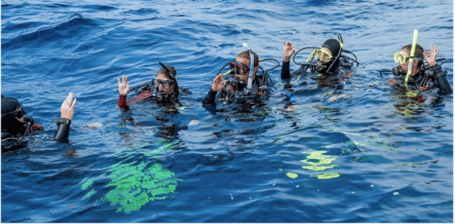 Playa Del Carmen: Divemaster Course - Inclusions