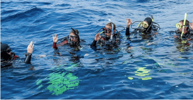 Playa Del Carmen: Divemaster Course - Booking Information