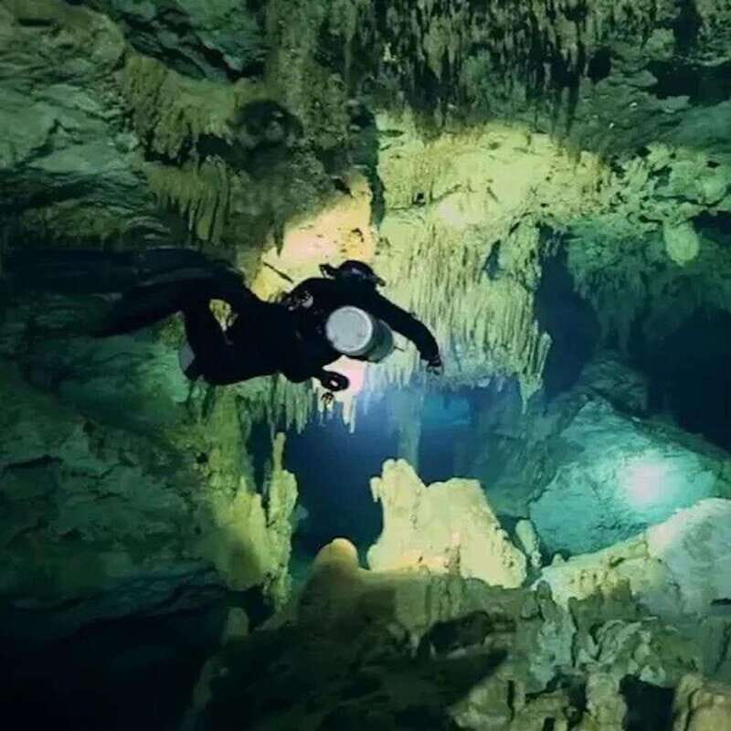 Playa del Carmen: Diving in Cenotes The Pit and Dos Ojos - Diving Experience: What You Need to Know