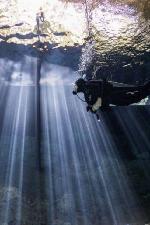 Playa Del Carmen: Diving in Cenotes the Pit and Dos Ojos - Good To Know