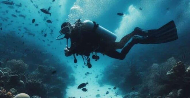 Playa Del Carmen: Diving in Cenotes the Pit and Dos Ojos - Itinerary