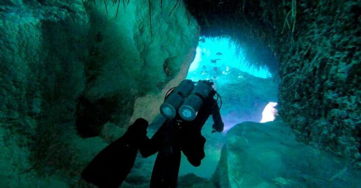 Playa Del Carmen: Dual Realm Diving (Cenote + Reef Diving) - Good To Know