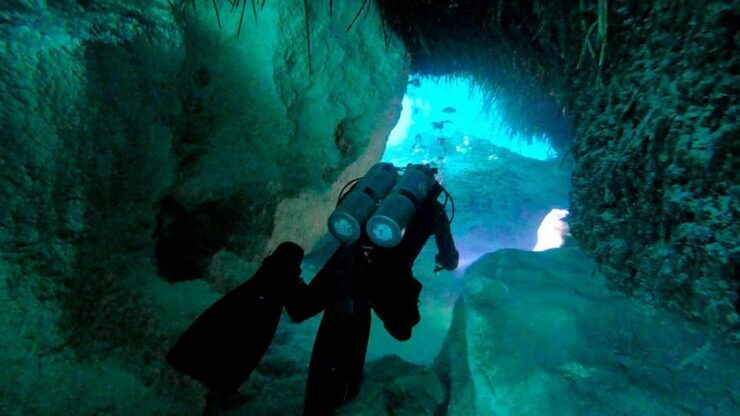 Playa Del Carmen: Dual Realm Diving (Cenote + Reef Diving) - Booking and Cancellation