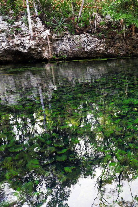 Playa Del Carmen: Dual Realm Diving (Cenote + Reef Diving) - Itinerary and Experience