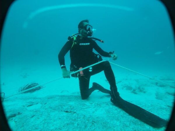 Playa Del Carmen: Dual Realm Diving (Cenote + Reef Diving) - What to Bring