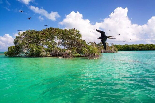Playa Del Carmen: Explore Great Sian Kaan Island - Important Information