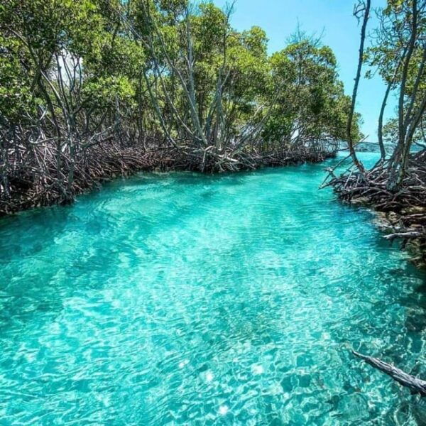 Playa Del Carmen: Explore Great Sian Kaan Island - Frequently Asked Questions
