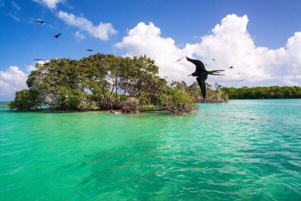 Playa Del Carmen: Explore Great Sian Kaan Island - Frequently Asked Questions