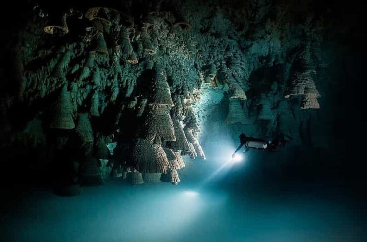 Playa Del Carmen: Explore the Surreal World of Cenote Diving - Diving Experience and Locations